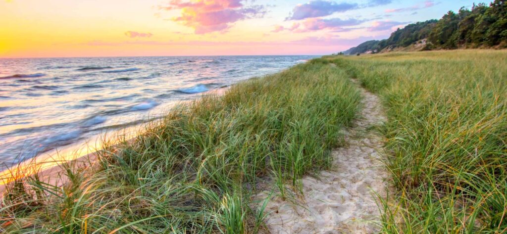 Lakeside landscape with beach grass and water